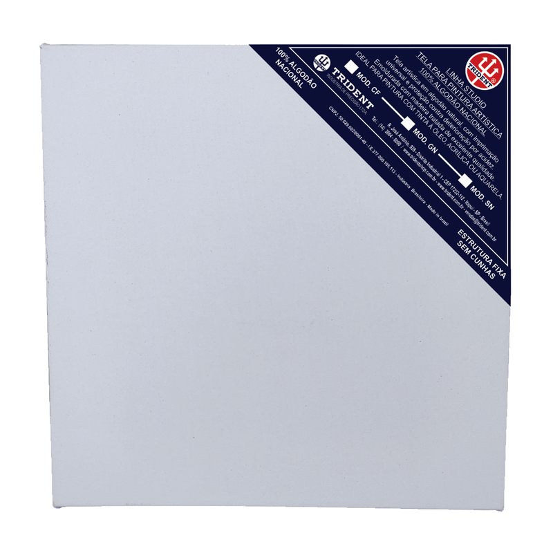 Tela De Pintura Studio Linha SN 80X90
