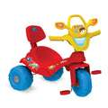 Triciclo Tonkinha Passeio e Pedal